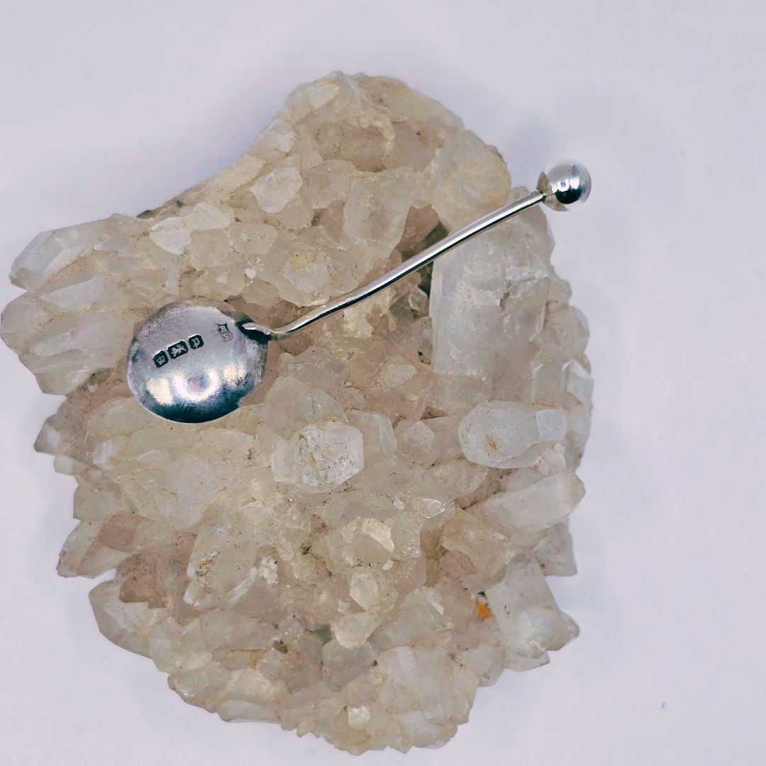 Silver Spoon of Protection