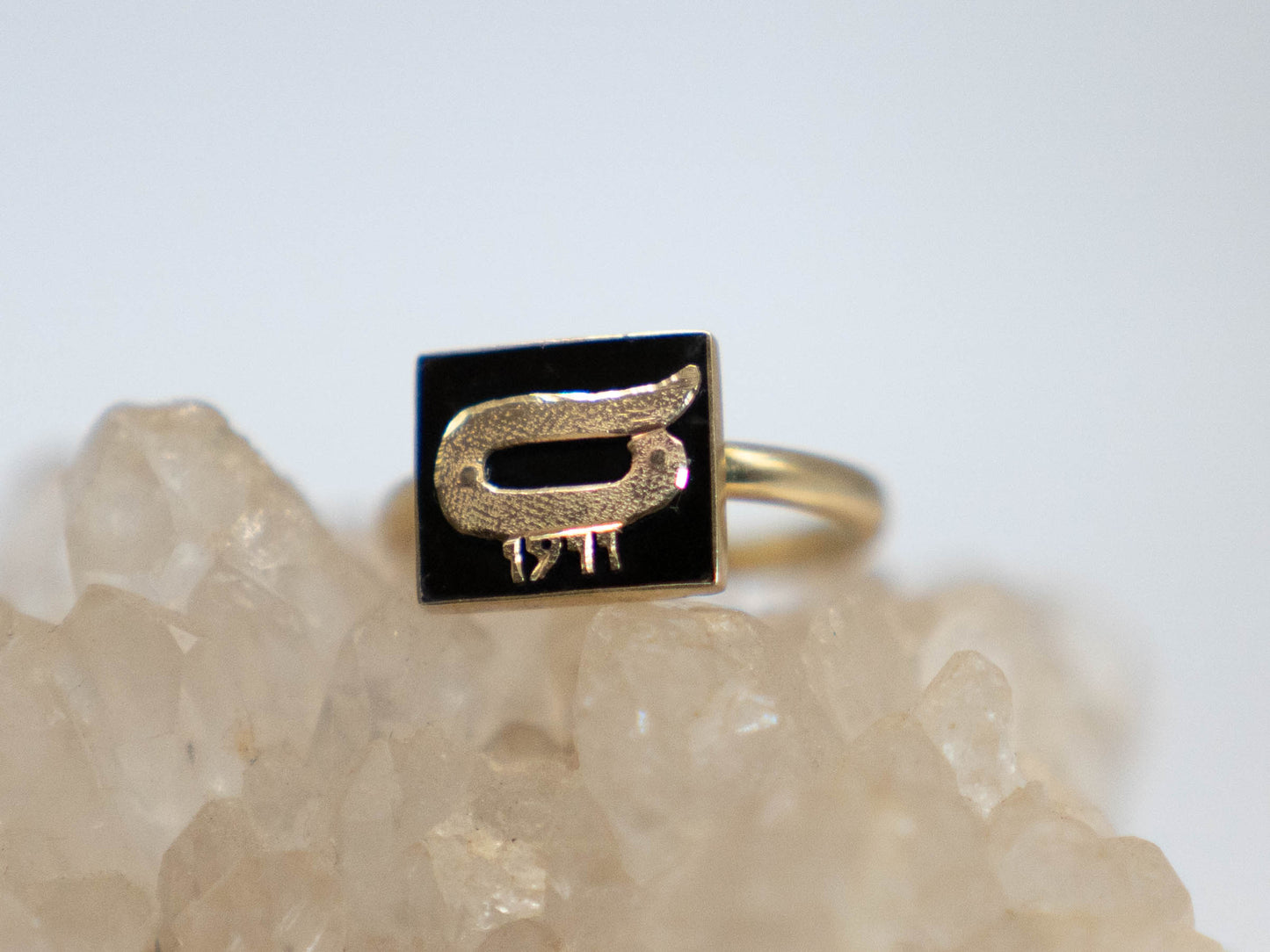 The Beginning is The End Ouroborus ring