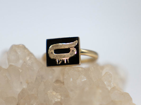 The Beginning is The End Ouroborus ring