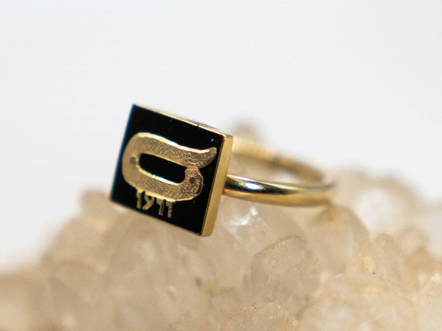 The Beginning is The End Ouroborus ring