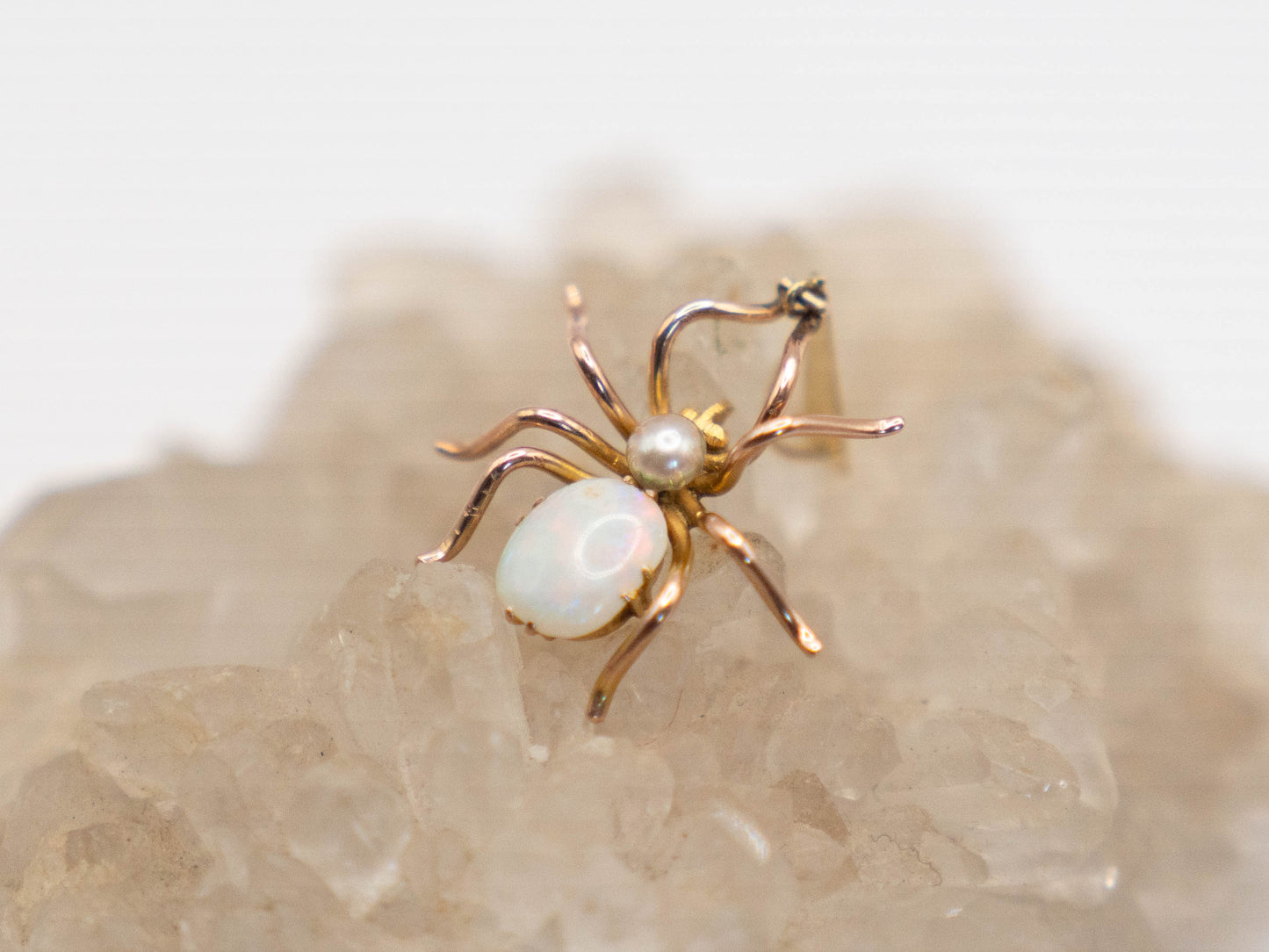 The Radiant Rebuilder of Life